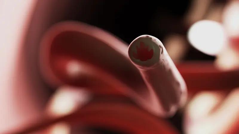 如何让你的血管变得年轻有活力?想要让血管变得年轻有活力，生活习惯很重要。饮食上