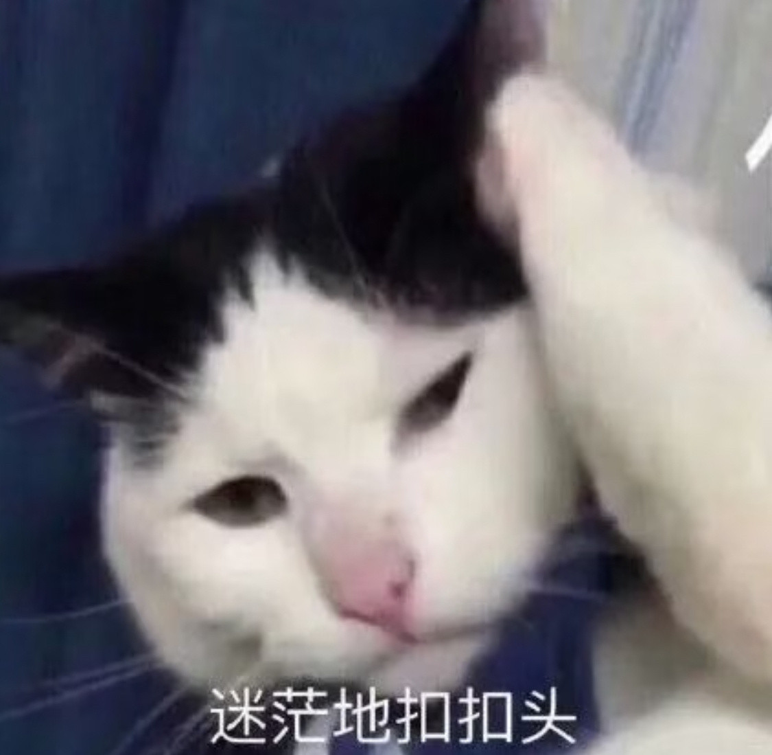 不想承认全球影史第3位华人女星提名好莱坞土星奖影后的含金量，只能承认刘亦菲星光、
