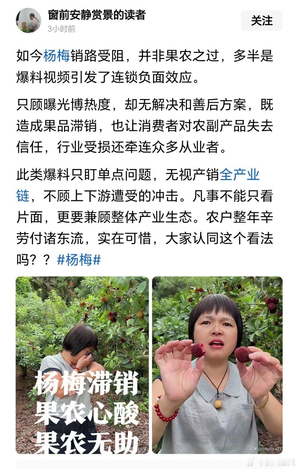 杨梅事件曝光后，网上出现一种非常奇怪的现象就是很多人出来指责曝光这件事的人!还有
