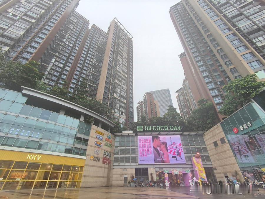 龙华·星河盛世4.5万拍卖，自带购物中心/位置好/地铁口~星河盛世是由深圳市