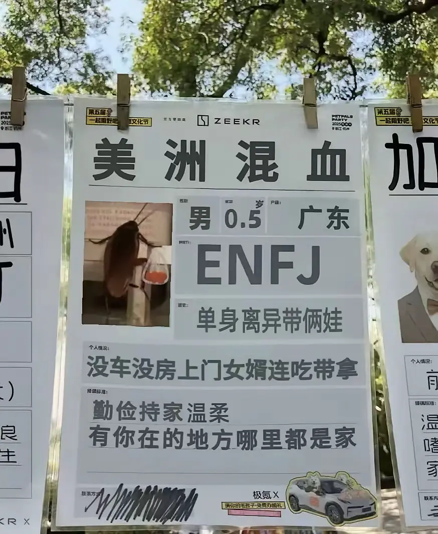 老外也开始相亲了，这样的条件如何？