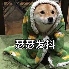 周一还在73000，今天63000都已经破了——4天跌了一万多点，而且是