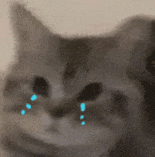 烤肠界的四大顶流小时候还吃过白色的墨鱼肠，超级好吃，现在见不到了