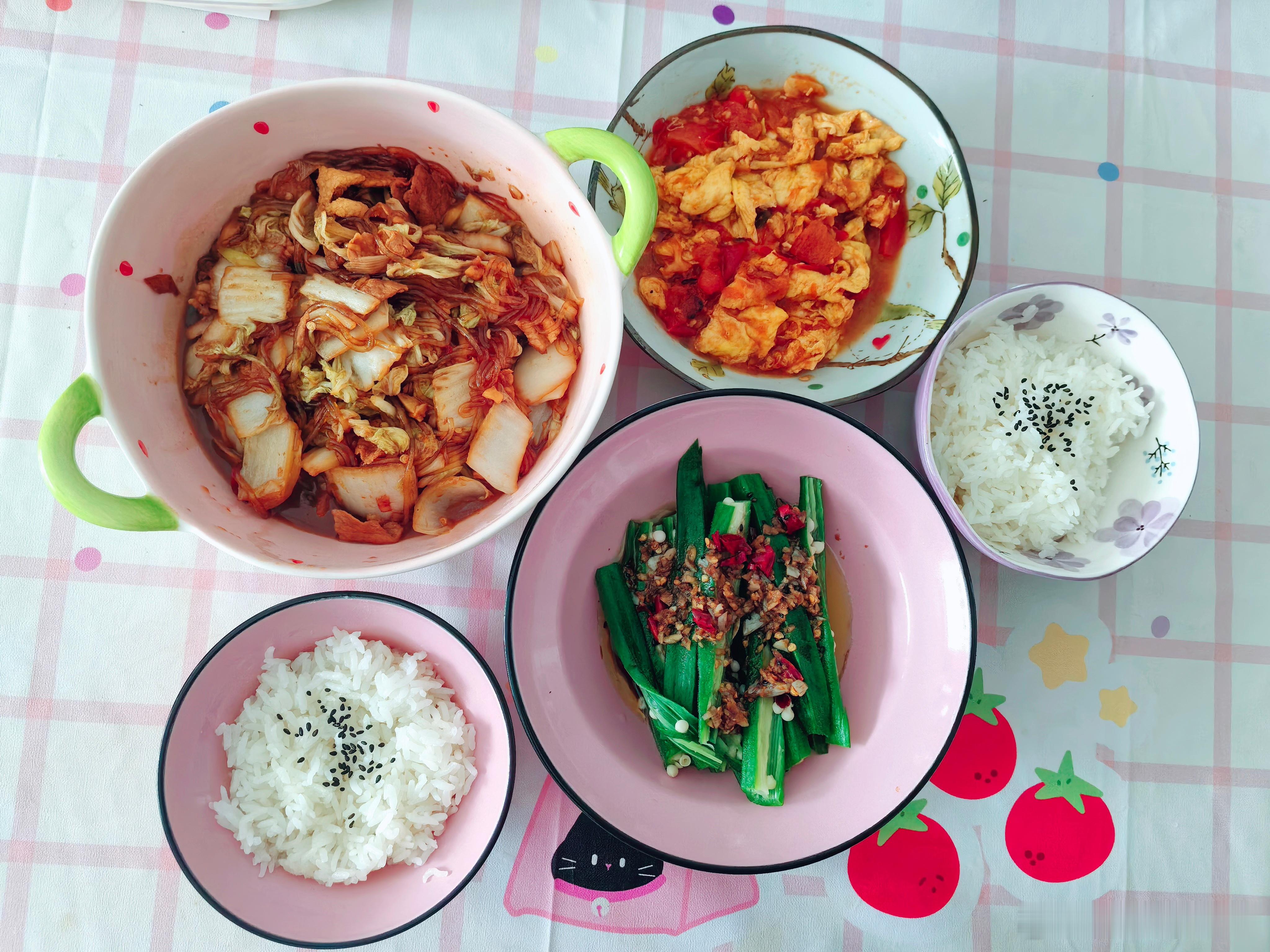 今日午餐把冰箱里储存的蔬菜都炒上了！下午再去买新鲜的。大肉白菜炖粉条和西红柿鸡
