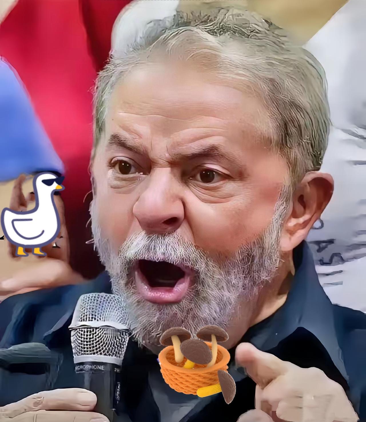 果然被我猜中了!巴西外贸委员会正式宣布了!10月28日,巴西外贸委员会宣布