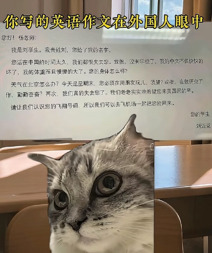你写的作文在外国人的眼中belike：​​​