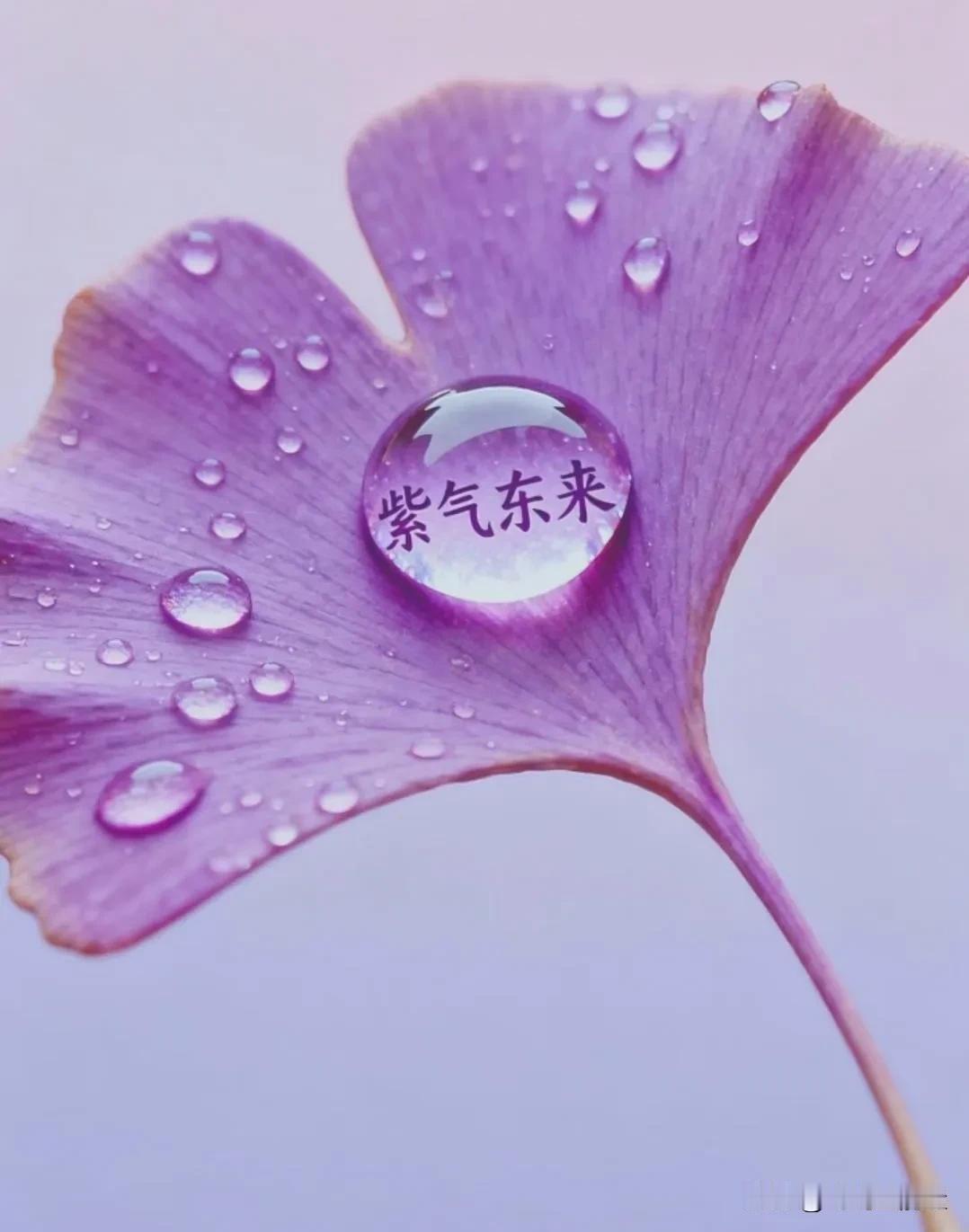 混得好的男人，都懂这9个人际潜规则：1. 逢人只说三分话，不可全抛一片心。