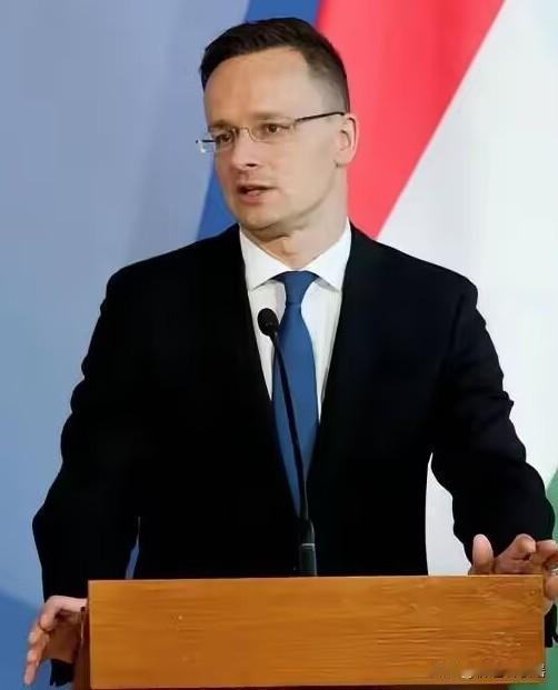 为加入比亚迪，匈牙利前外长辞去议员职务匈牙利前外交部长彼得·西雅尔多宣布，他决