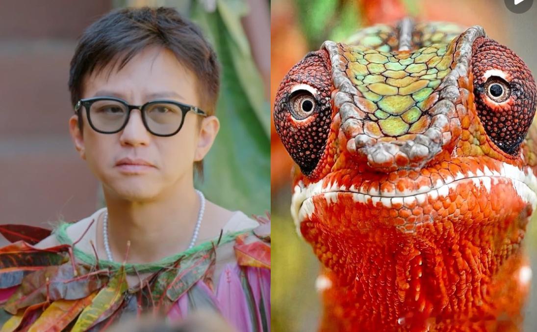 鹿晗说邓超像蜥蜴笑不活了家人们！鹿晗稳定输出神吐槽，说邓超像蜥蜴，前有大白猪后有