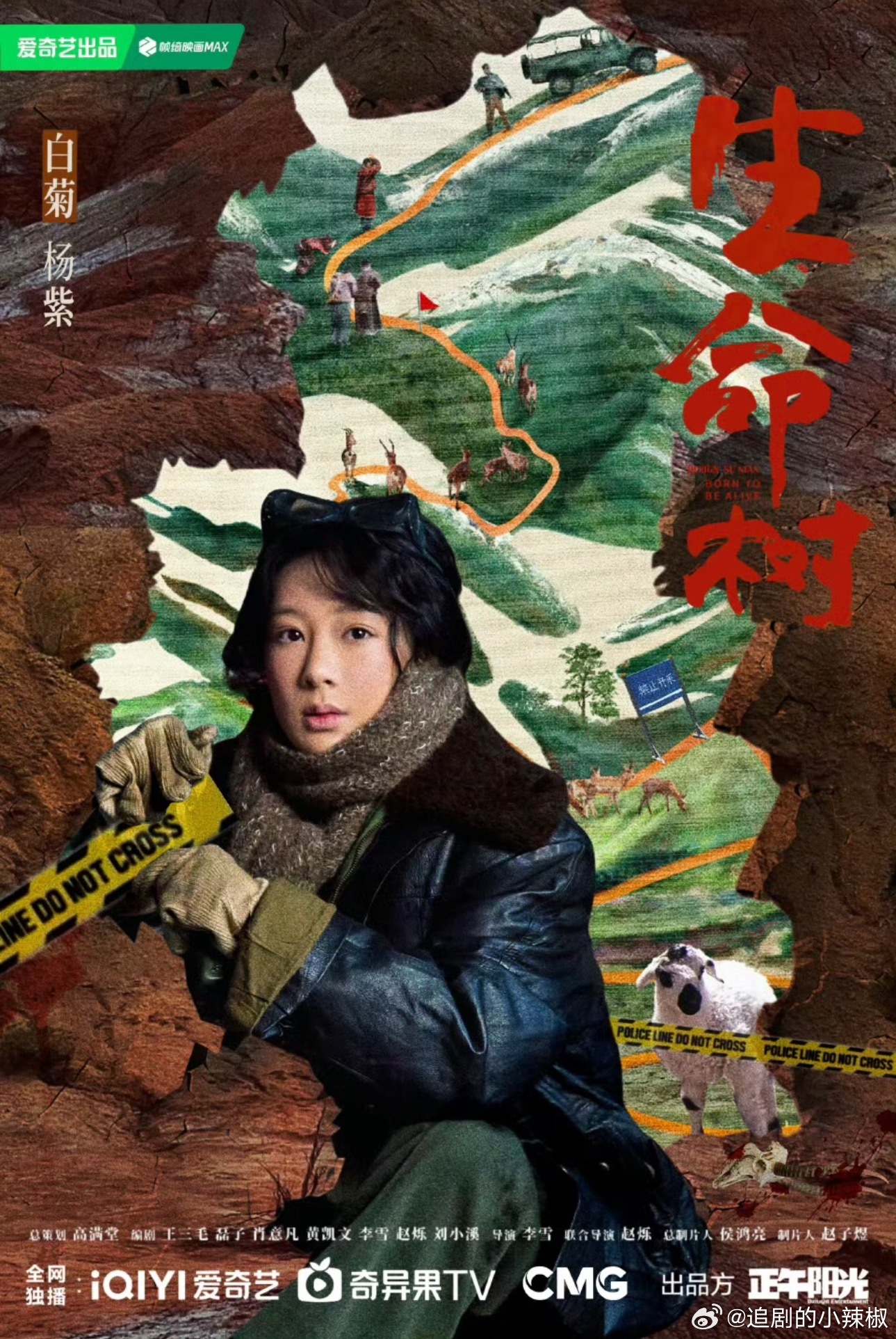 老天奶，杨紫粉丝这作图审美[笑着哭]一流剧宣了​​​