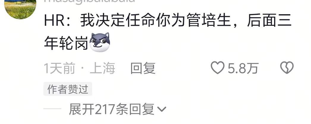 秋招我没空和你闹了​​​