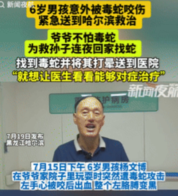 “胆子不是一般的大！”黑龙江牡丹江，一6岁男孩在爷爷家院子里玩耍时，突然遭到毒蛇