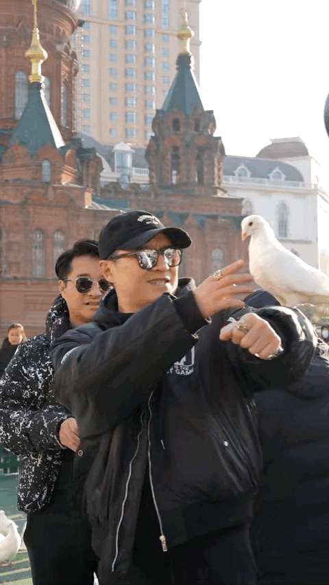 被汪峰喂过的鸽子飞得更高汪峰哈尔滨plog戳中笑点！街头喂鸽被鸽子“贴脸要食”