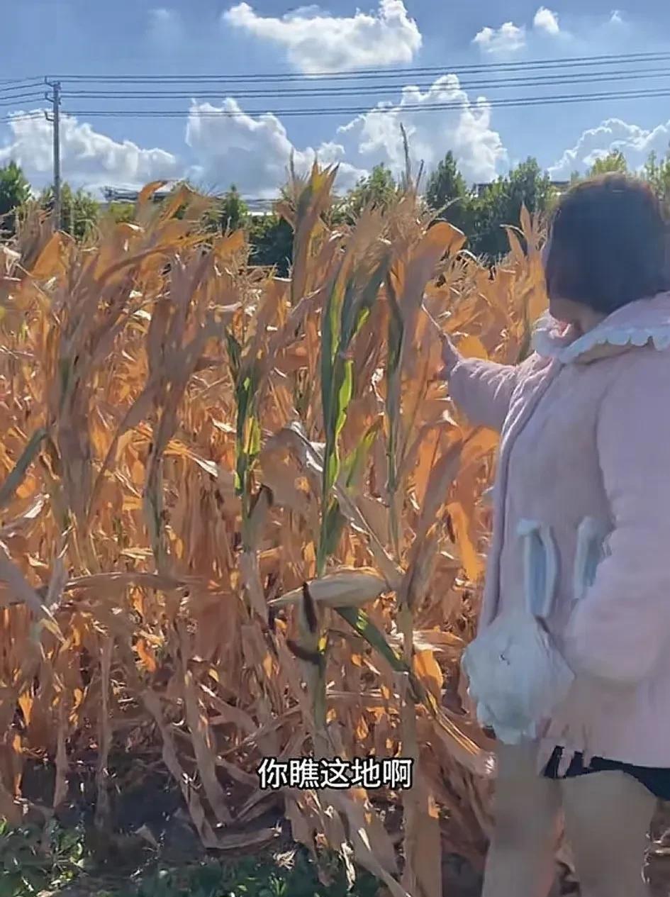 河南今年的干旱有多么严重，有老人说这事要是发生在过去，河南人早就收拾收拾东西去外