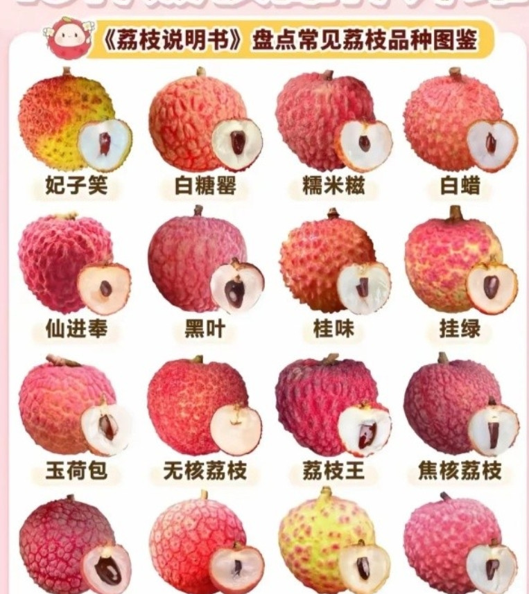 广东今年荔枝产量223万吨，价格直接跳水到15元一斤桂味，往年70元一斤的热搜还