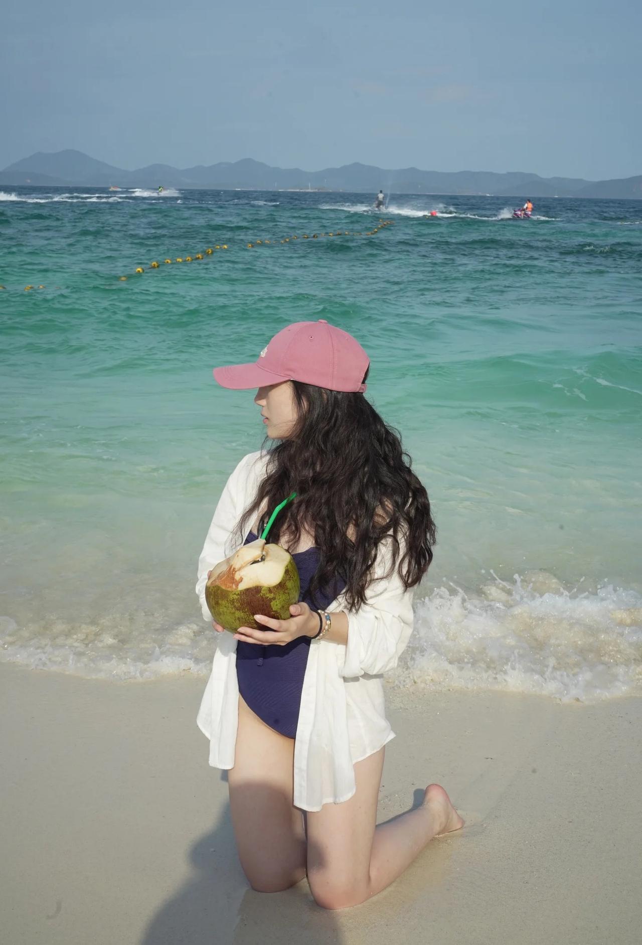 救助一些流浪椰子海狗不是狗