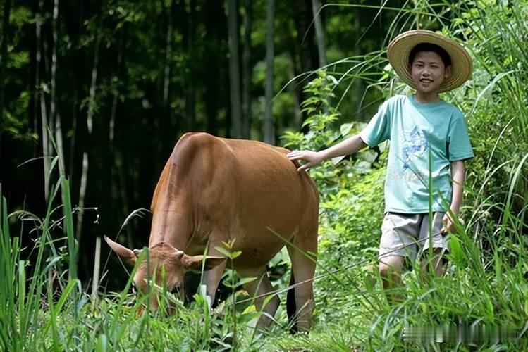 随着农民生活的普遍提高和对社保认识的深入。提档、补缴成为一些聪明农民的选择。可以