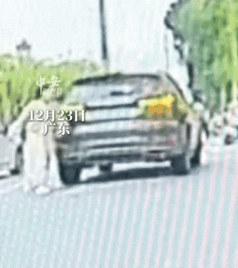 笑不活了！广东，一男子早上开车去上班，突然前车打着双闪停下来，男子刚有些不耐烦，