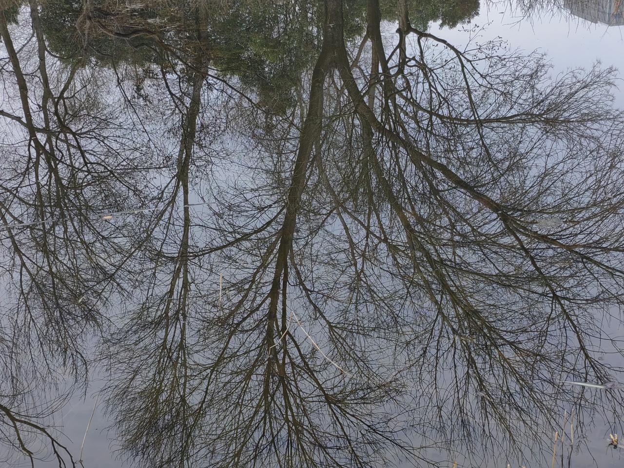 昨天很开眼界，目睹了一场拼酒的精彩画面。三个人，男，年龄最小的61岁，最大的6