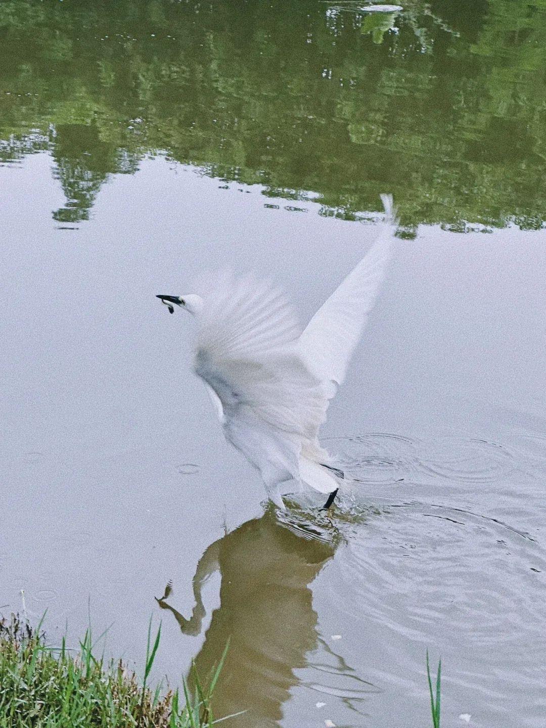 杨绛爱情语录,哪些触动到了心弦?婚姻的河，终要学会渡自己杨绛先生曾说：“如