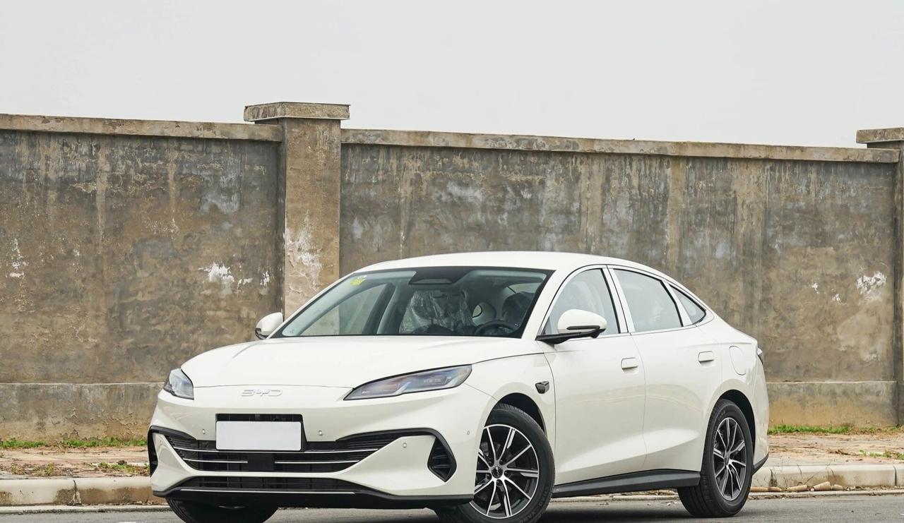 新手10万内带智驾，海豹06、秦L、海鸥。帮表妹选第一台车，预算10万要智驾，跑