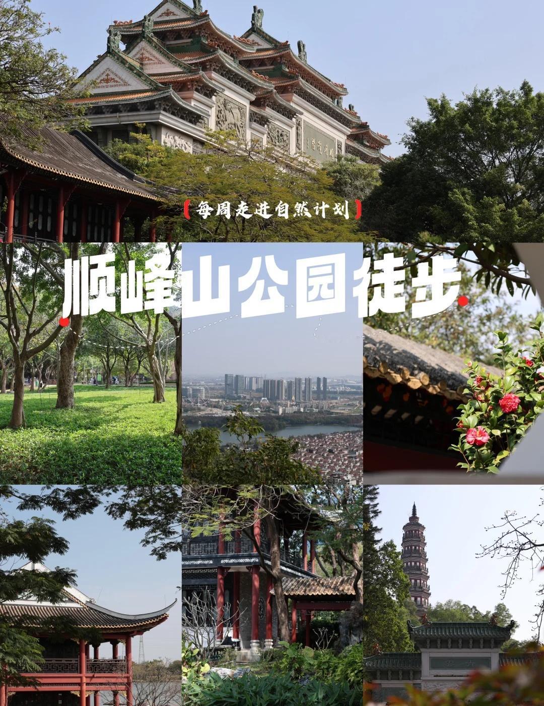 轻徒步|顺峰山花海+双塔拍照徒步攻略📸📍地点：顺德顺峰山公园🚇交通