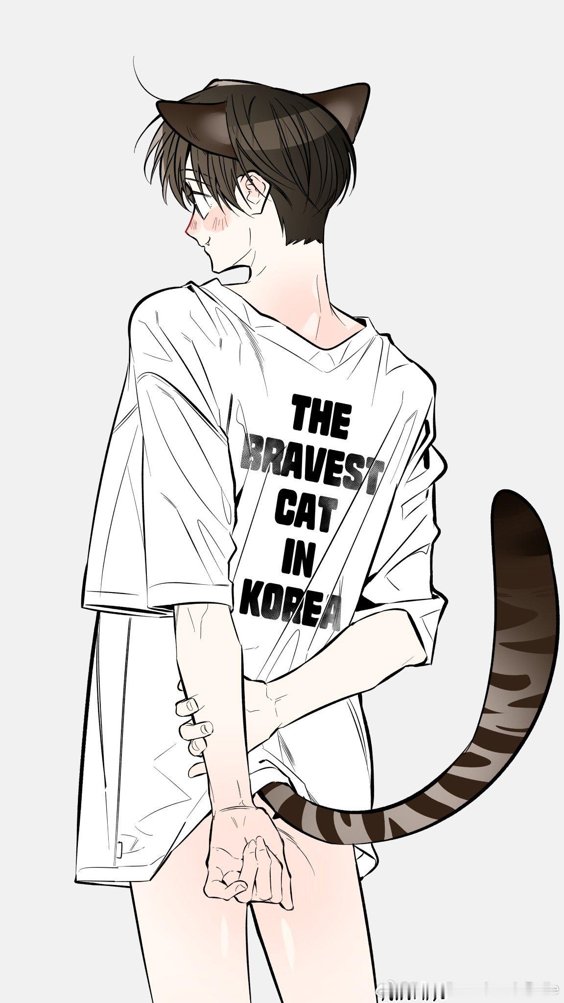 爱护猫猫