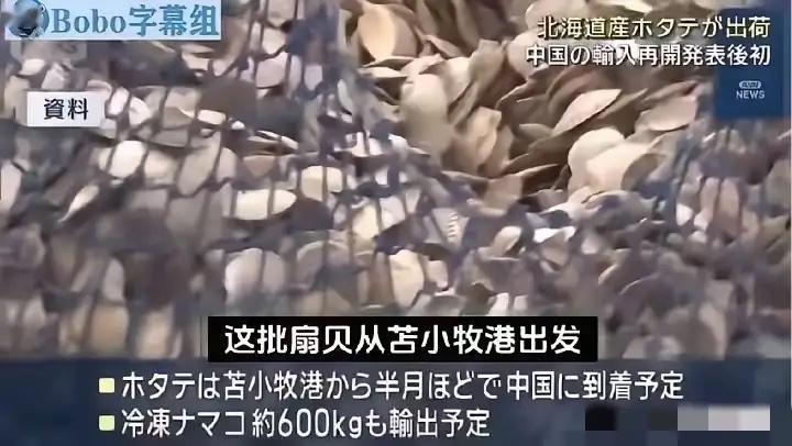 日媒称：首批约6吨的北海道产扇贝已发往中国！那么买日本扇贝的公司到底是一家什么样
