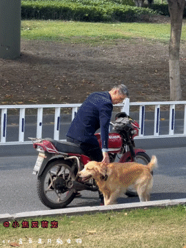 狗狗和主人一起回眸笑，好有爱的画面啊！网友：狗跟主人每做一个动作就转过头一脸期待