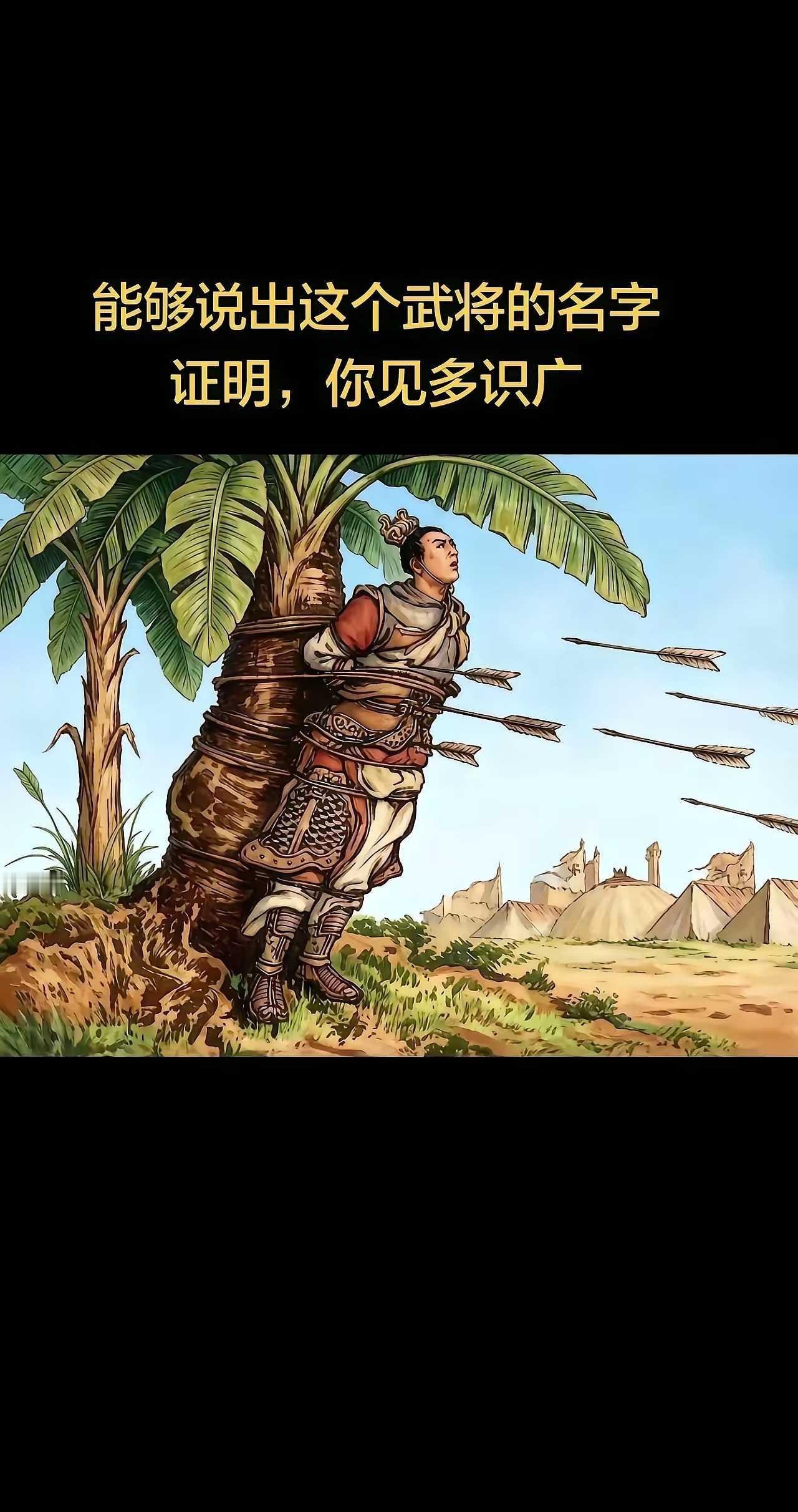 考考你的历史水平，你科普一下这是哪位武将的遭遇?