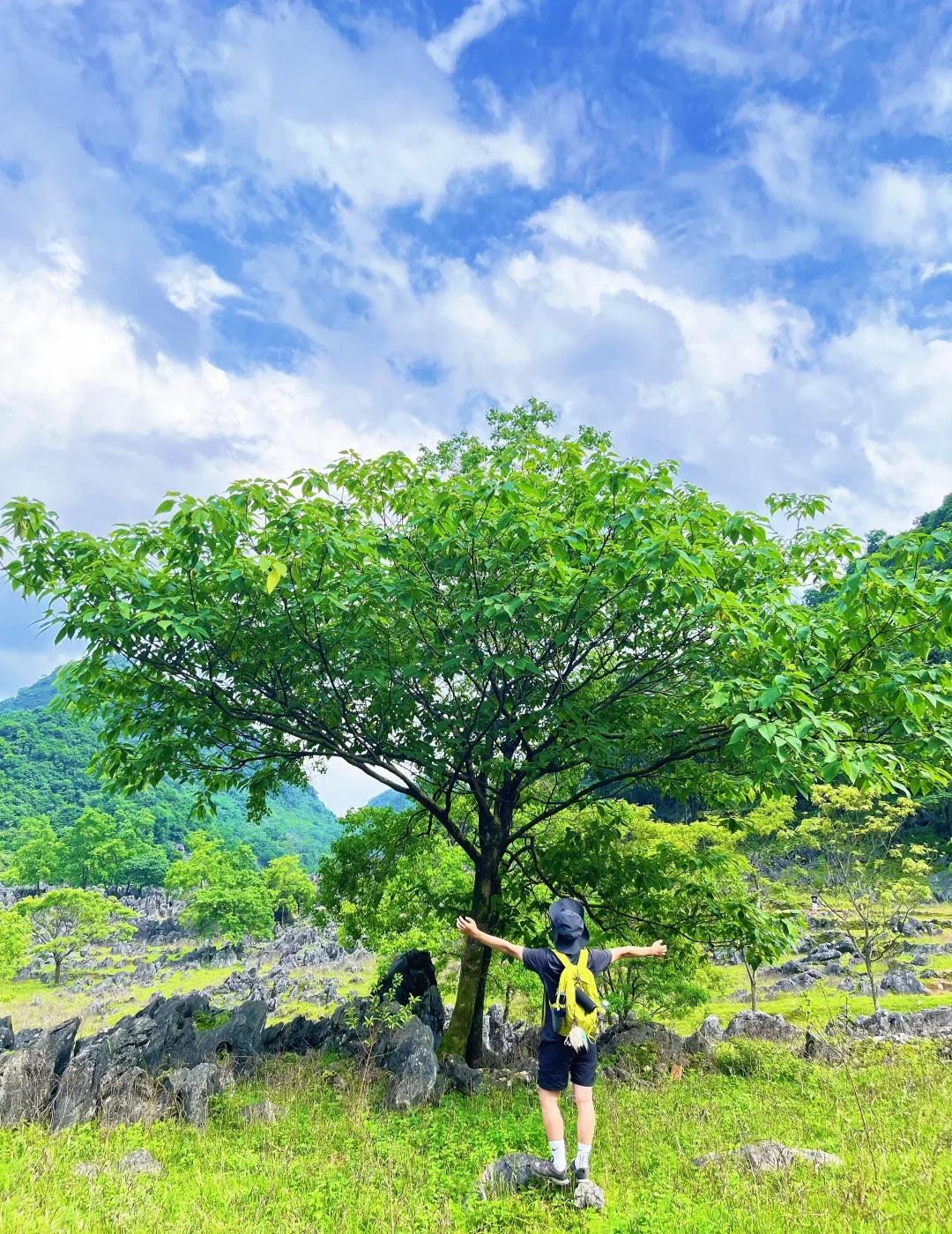 清远梅子坪保姆级攻略📍基础信息导航：阳山县江英镇上坪村党群服务中心/周
