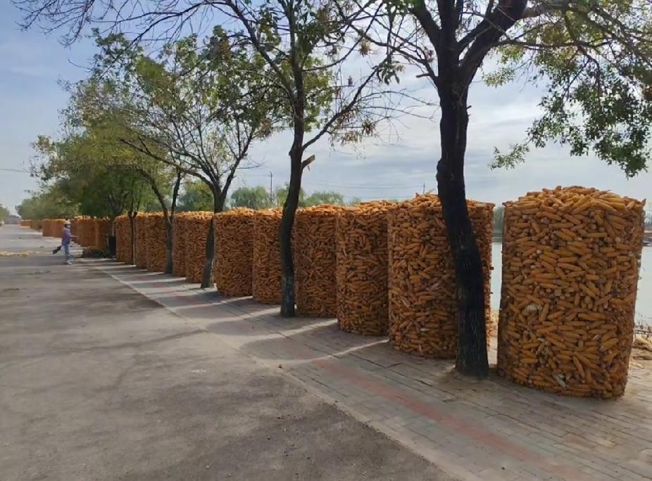 父亲曾经跟我说：无论你在哪个单位，你要记住，凡是和你成为同事的男人，都跟你