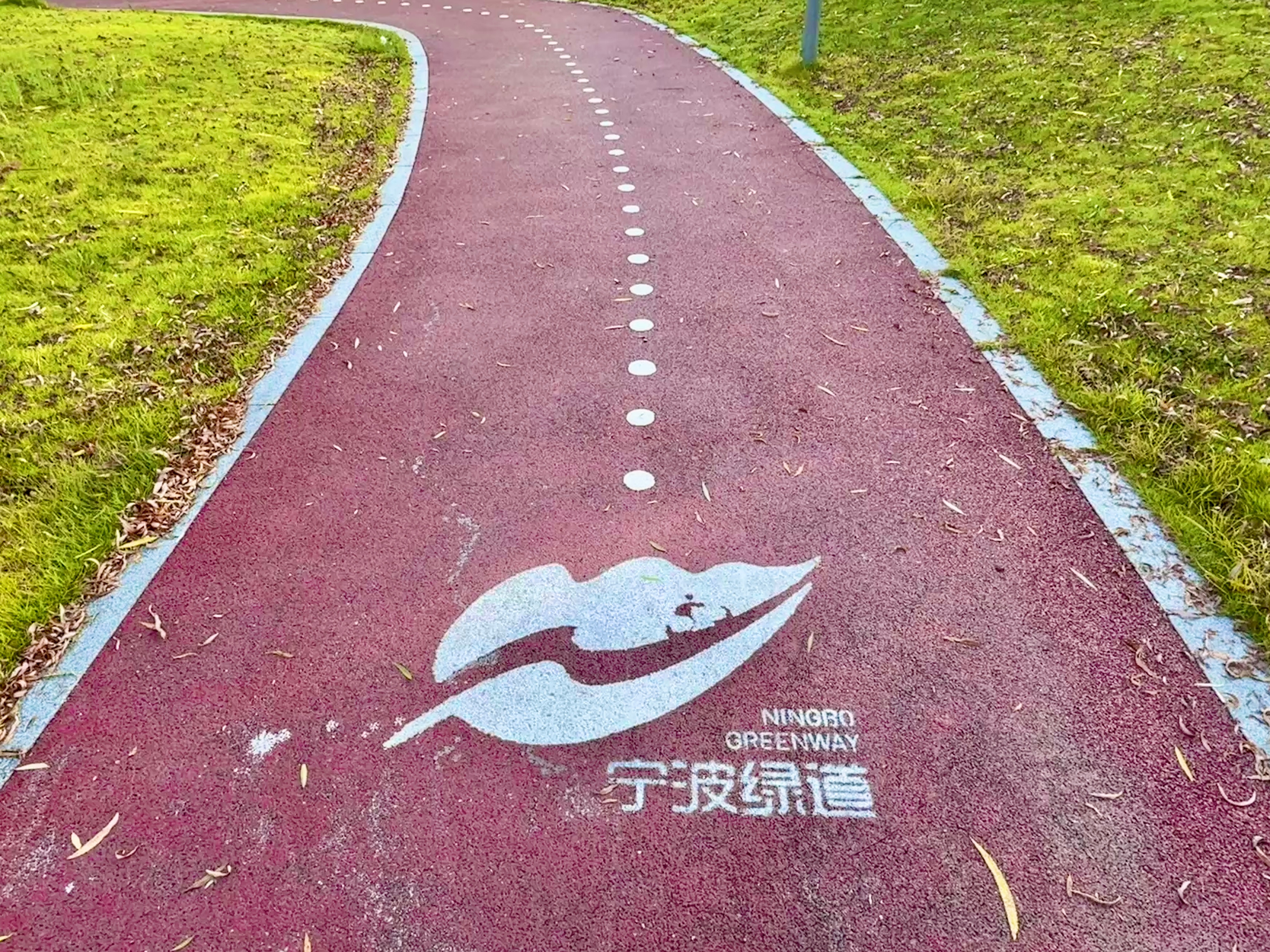 运动打卡把钱和香肠放在地上，人会捡钱，狗会捡香肠，价值观错乱的时候人也会反着来