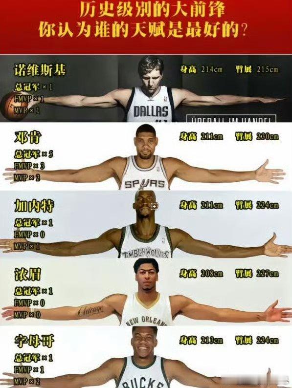 历史级别的大前锋谁的天赋最好？诺维斯基，在nba获得了一个冠军一个mvp，一个f