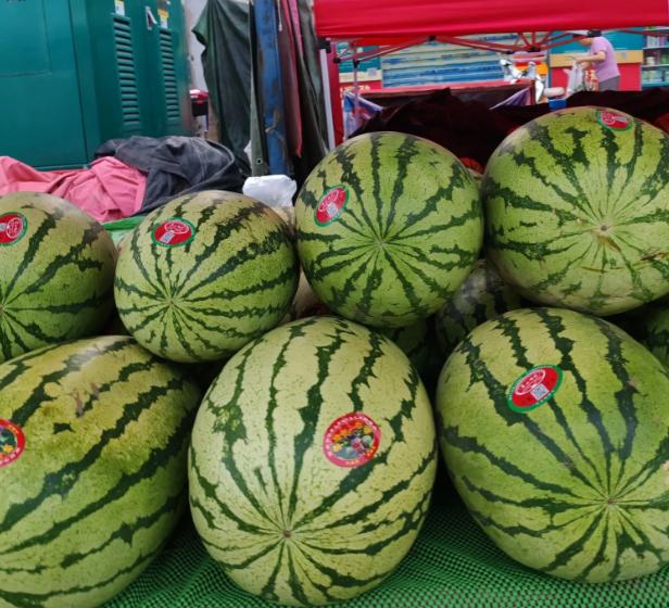 我算是明白了宁夏西瓜卖不动的原因了！现在的宁夏西瓜除了中间沙瓤，边上的肉又硬，中