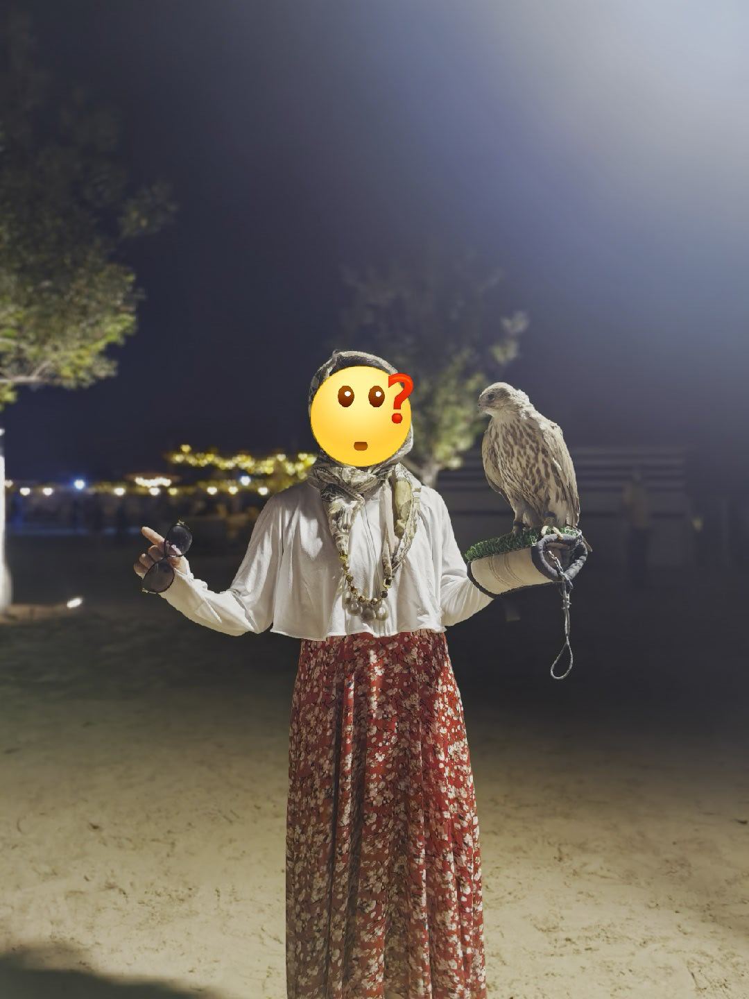 同款阿布扎比与🦅合影，为什么刘亦菲的🦅都好看些刘亦菲阿联酋素颜照代言人自