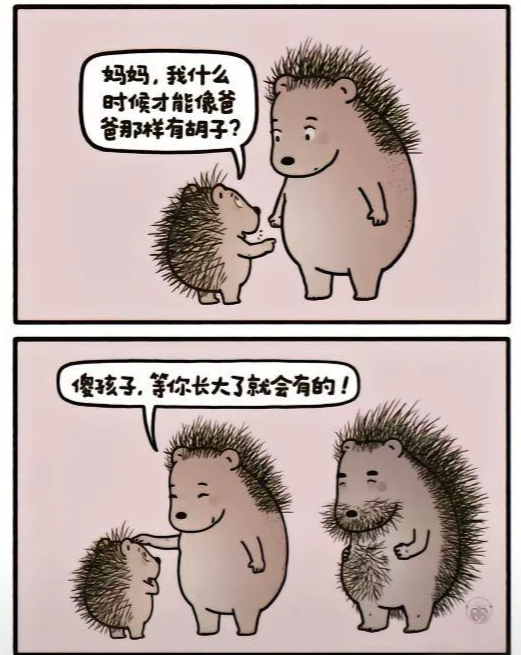 这漫画什么意思没看懂？