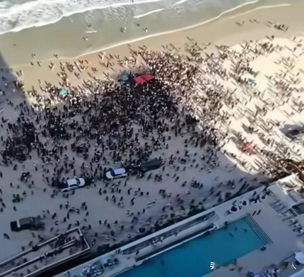 这真的是"草木皆兵"了。3月16日这一天，在佛罗里达一个海滩上。有游客恶作剧