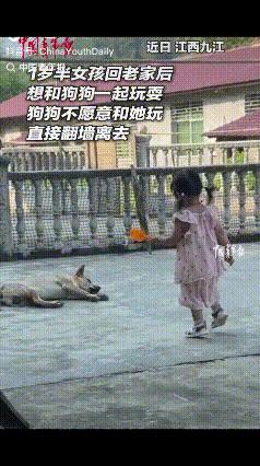 "万万没想到！"江西九江，一岁半女孩回老家，看见院中熟睡的狗子，就跑过去想和狗