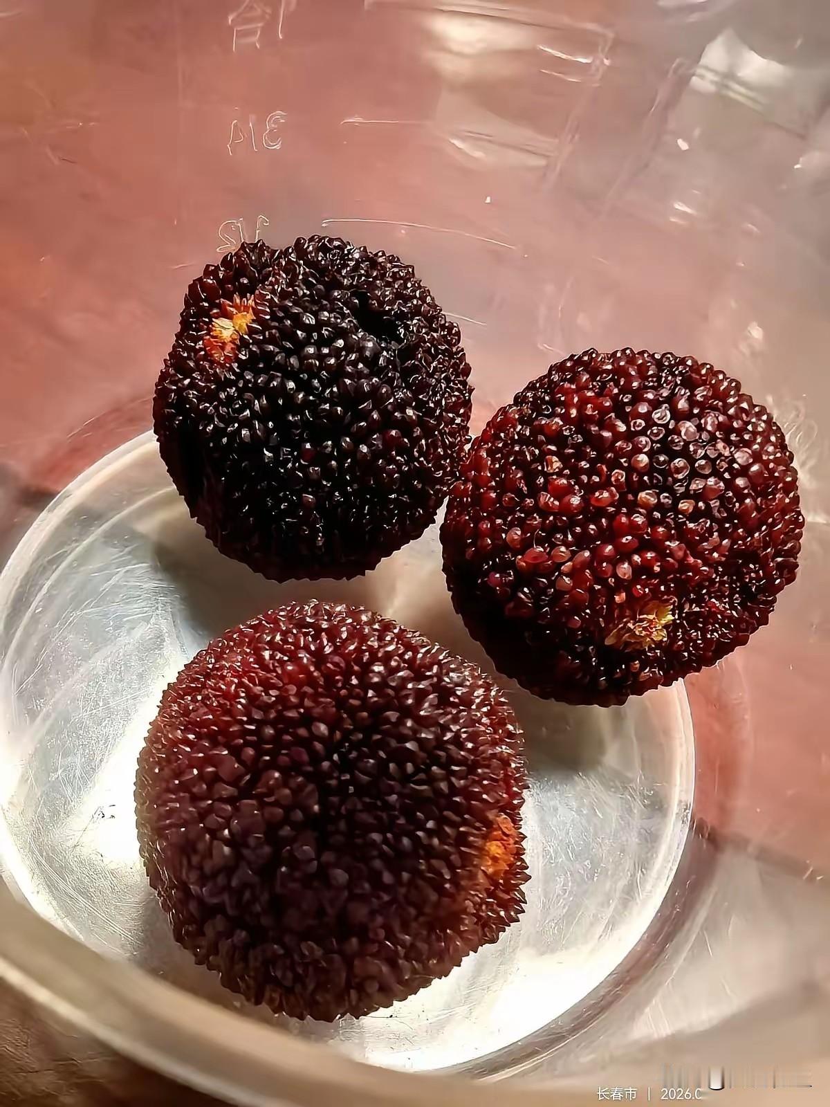 毒杨梅事件之后，许多人以为去园子里摘果子就没有问题。实际上也存在极大的误区。
