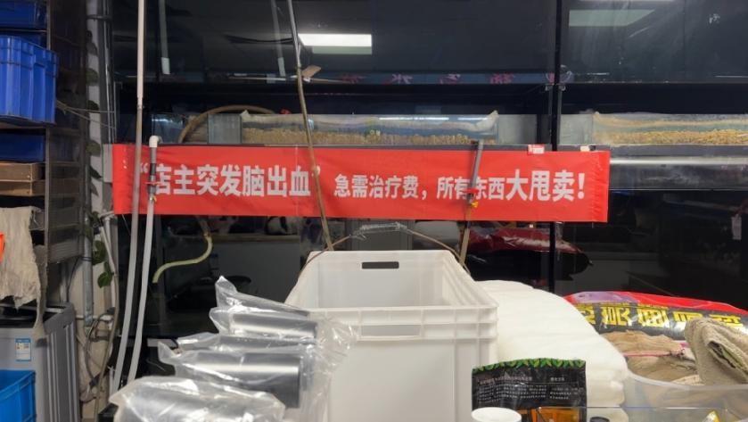 凌晨三点，闫学晶给儿子林傲霏发了条微信：“你演得不好，观众不认可。”入行五年，