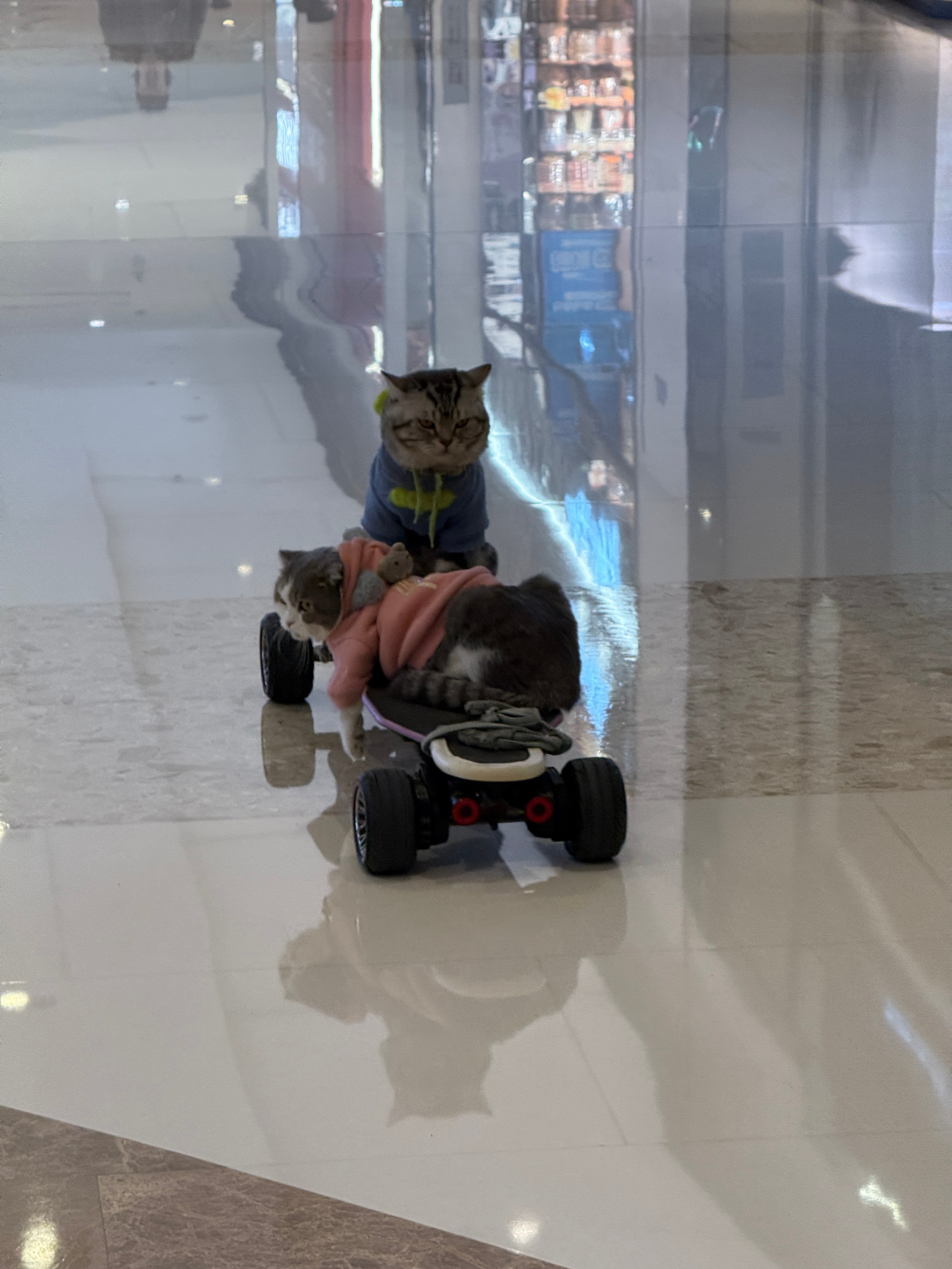 早早早很硬的兄弟们！硬起来