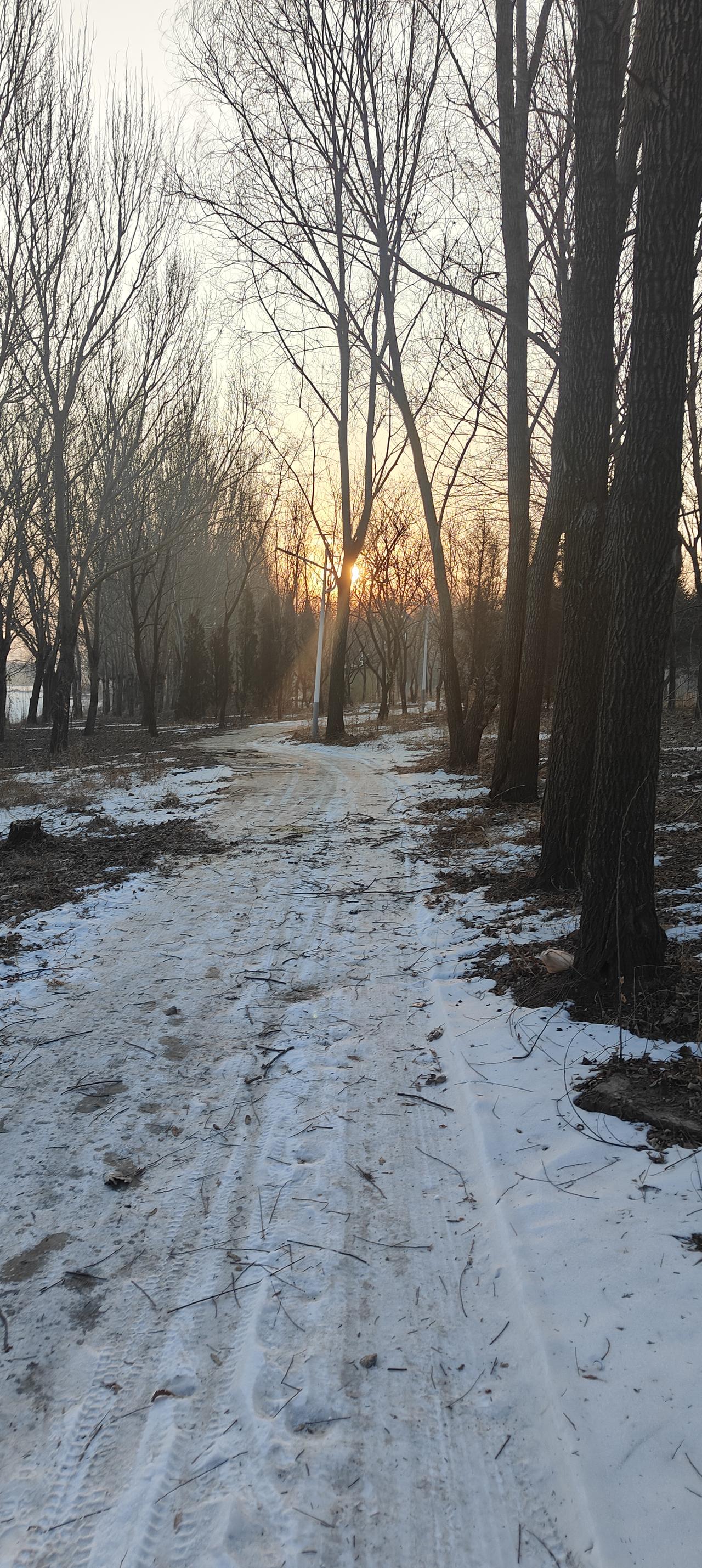 人在世什么最值钱人生在世最值钱的就是健康。