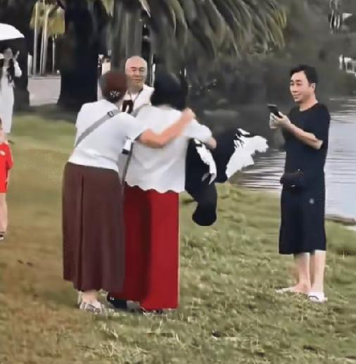公园里上演“人鸟合影”翻车现场。视频中，一位大妈兴起之下，直接抓住黑天鹅两只翅膀