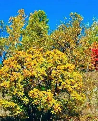 我给孩子准备的最后一堂课，是关于如何告别。这堂课的内容，我已经想了很久，决定在