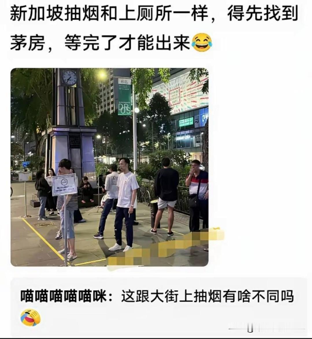 这算不算：脱裤子放屁，多此一举呢？既耽误上厕所的效率，还祸祸了厕所空气！设置吸