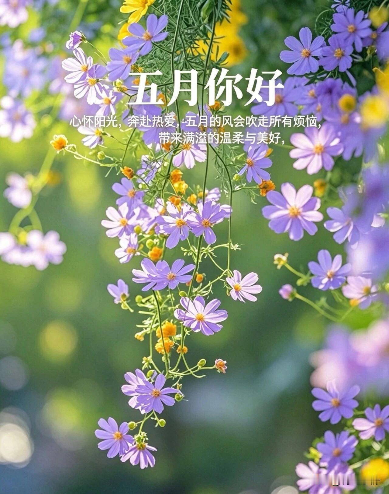 ☀️²⁰²⁶/₀₅.₀₂周六早安·五一假期初夏清风暖，假日岁月安不负闲暇时
