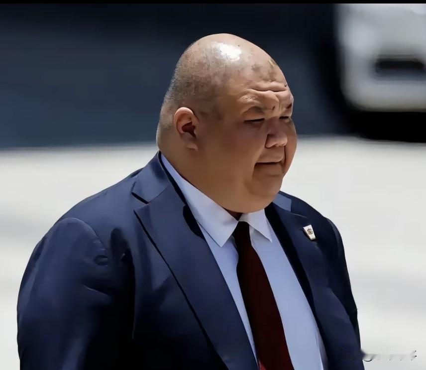 “相扑手”张振熙将接任白宫新闻秘书？美女新闻秘书莱维特宣布将离任，下一任是谁呢