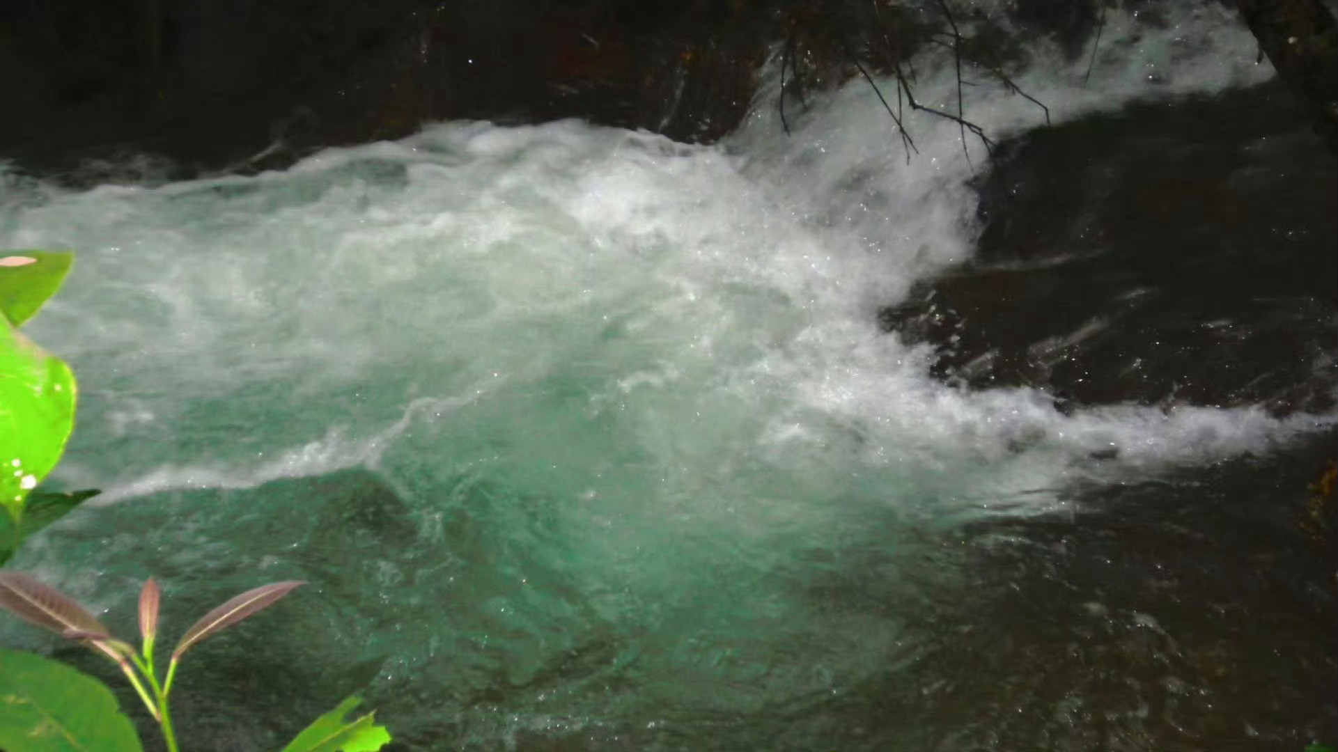 【裴珠泫刘浩存柳智敏】你的存在让春天有了意义🍃