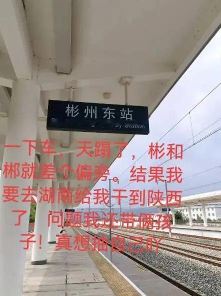 没文化太可怕了，去湖南郴州却到了陕西彬州！现实中的南辕北辙，被四川这一
